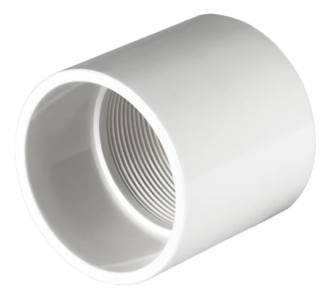PVC Female Adapter SxT White - 1/2 Inch
