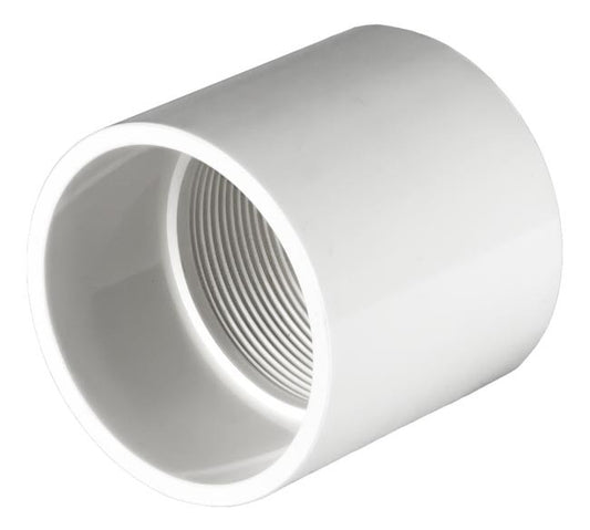 PVC Female Adapter SxT White - 1/2 Inch