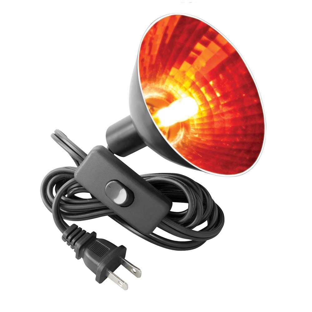Zilla Halogen Mini Lamp Red - 50 W