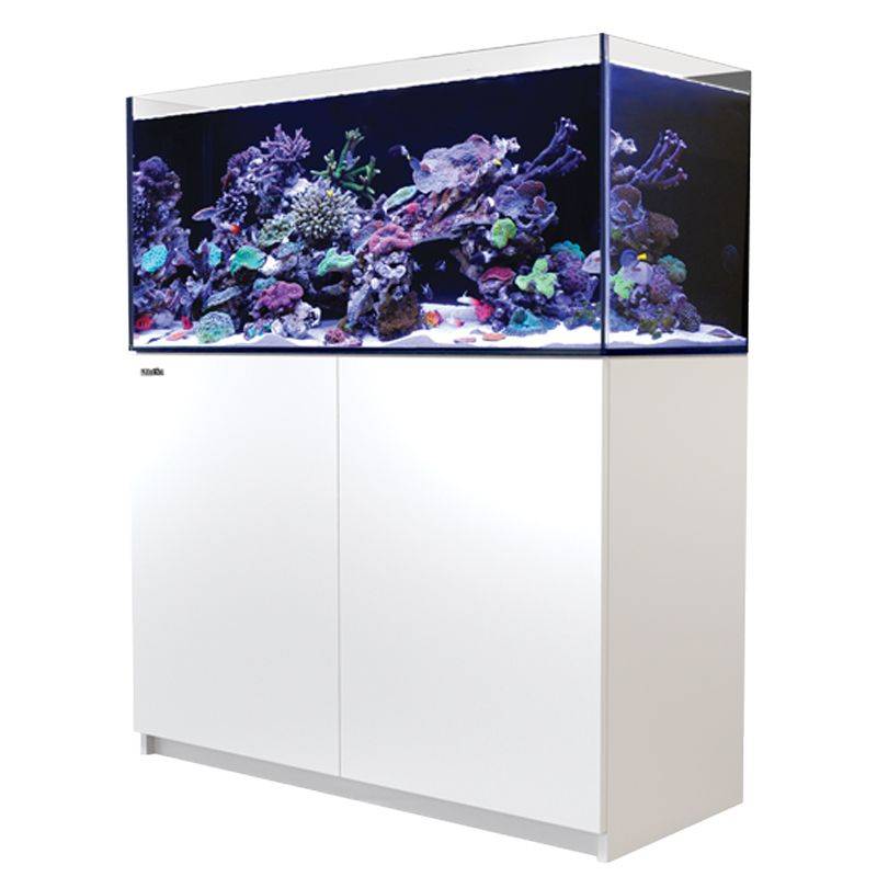 Red Sea Reefer 350 G2+ White